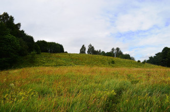 Burbiškių piliakalnis